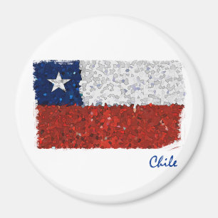 Imán Chile Pintado