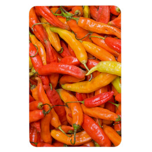 Imán Chili