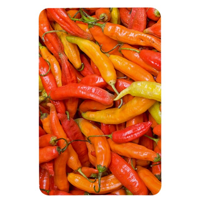 Imán Chili (Vertical)