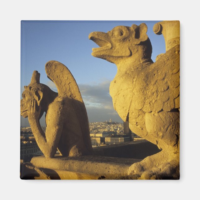 Imán Chimera, Catedral de Nuestra Señora, París, Franci (Frente)