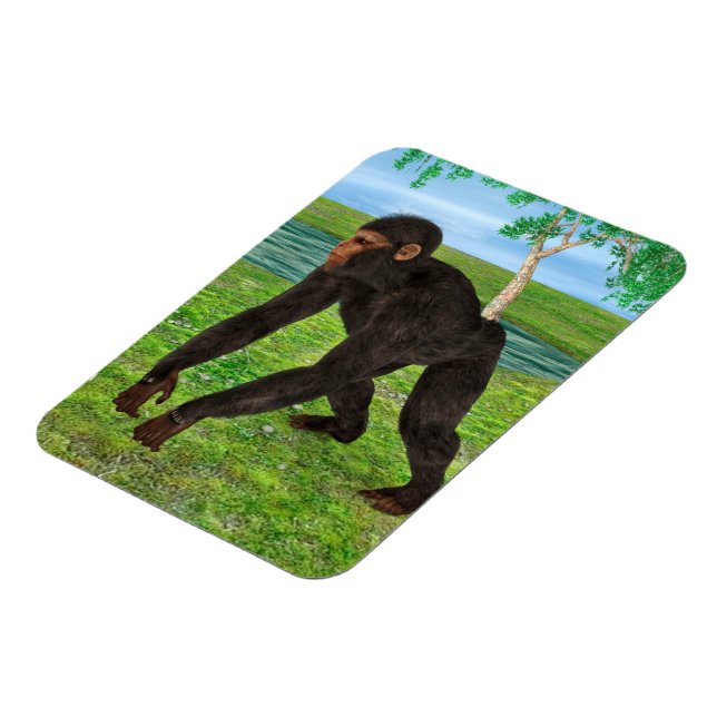 Imán Chimpancé (Lado Izquierdo)