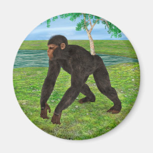 Imán Chimpancé