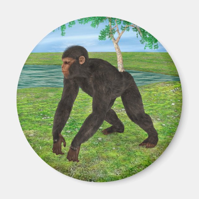 Imán Chimpancé (Frente)