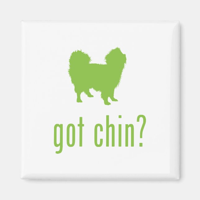 Imán Chin japonés (Frente)