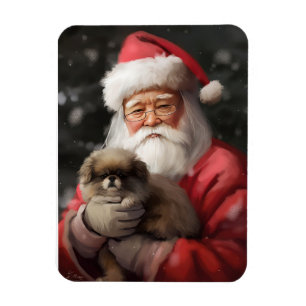 Imán Chin japonés con Navidades festivos de Santa Claus