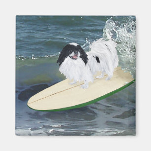 Imán Chin japonés haciendo surf