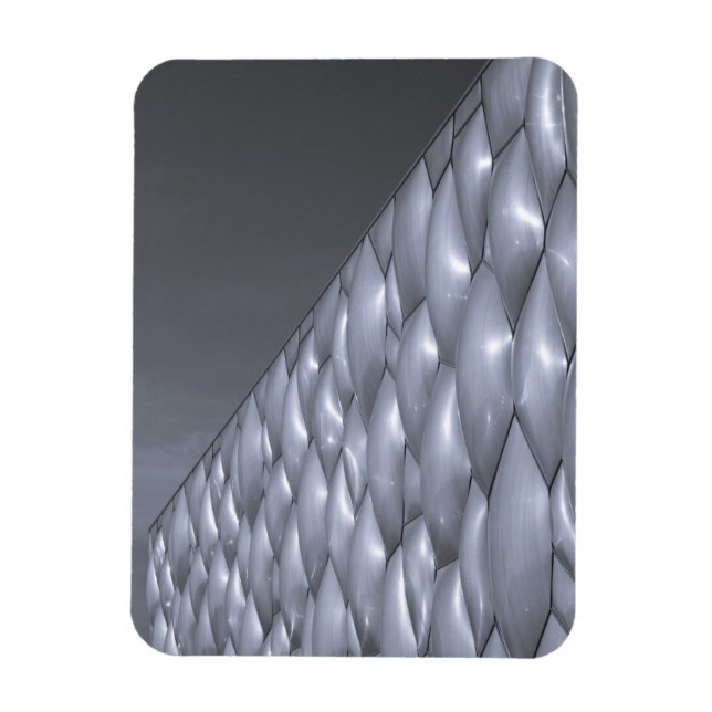 Imán China, Beijing. Centro Nacional de Acuáticos (Vertical)