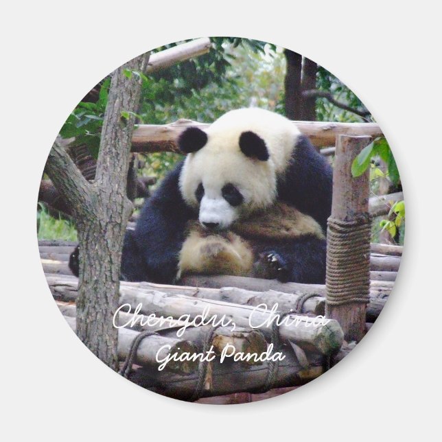 Imán China, Chengdu, Panda gigante (imán) (Frente)