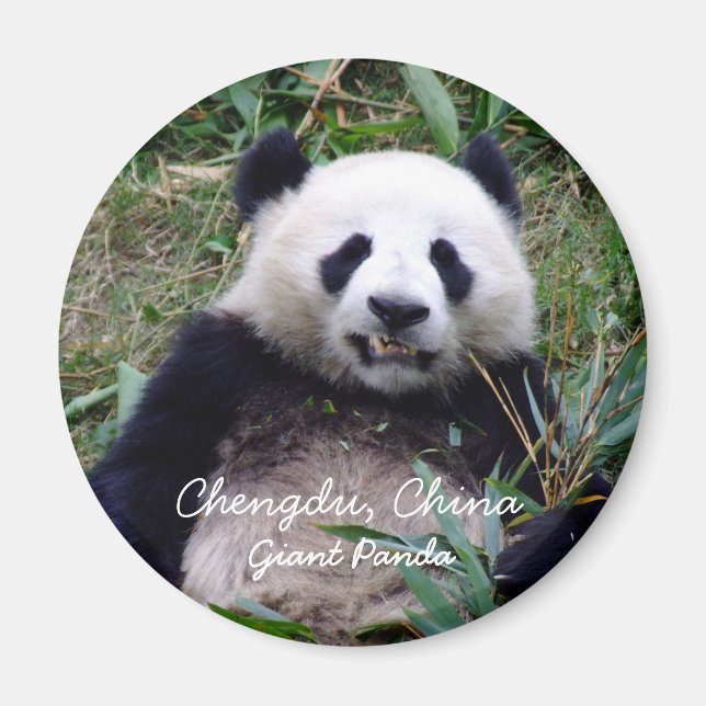 Imán China, Chengdu, Panda gigante (imán) (Frente)