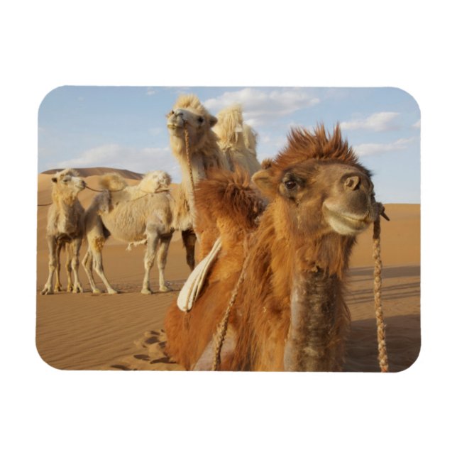 Imán China, Mongolia Interior, desierto Badain Jaran 2 (Horizontal)