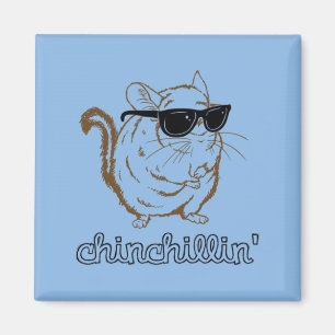 Imán Chinchillin