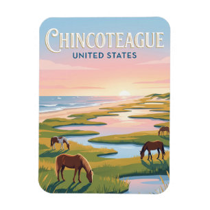Imán Chincoteague Virginia