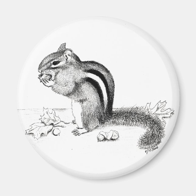 Imán Chipmunk (Frente)