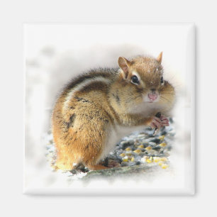 Imán Chipmunk