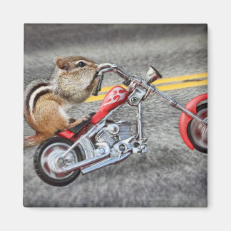 Imán Chipmunk Biker montando una motocicleta
