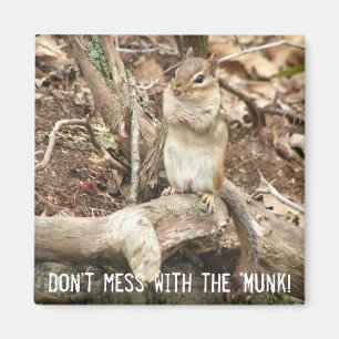 Imán chipmunk con actitud