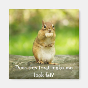 Imán Chipmunk con la invitación