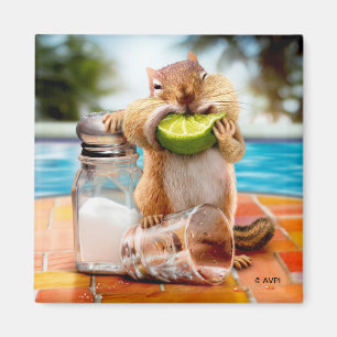 Imán Chipmunk con lima