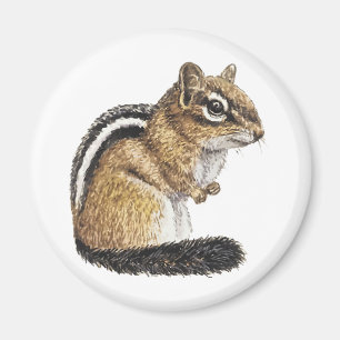 Imán Chipmunk Cutie