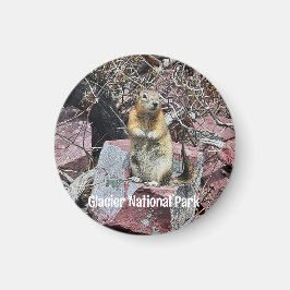 Imán Chipmunk en el Parque Nacional Glaciar