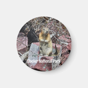 Imán Chipmunk en el Parque Nacional Glaciar