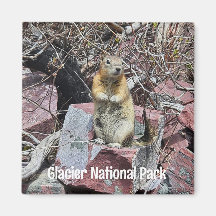 Chipmunk en el Parque Nacional Glaciar