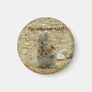 Imán Chipmunk Funny Magnet