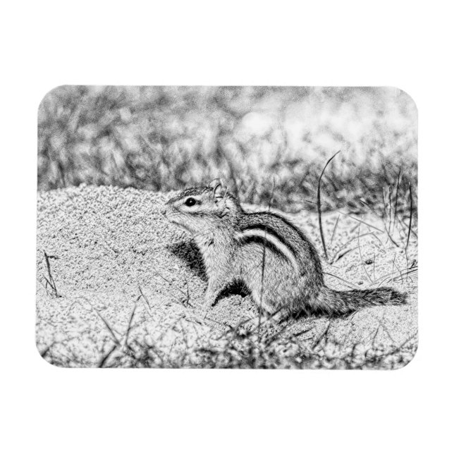 Imán Chipmunk Sketch (Horizontal)