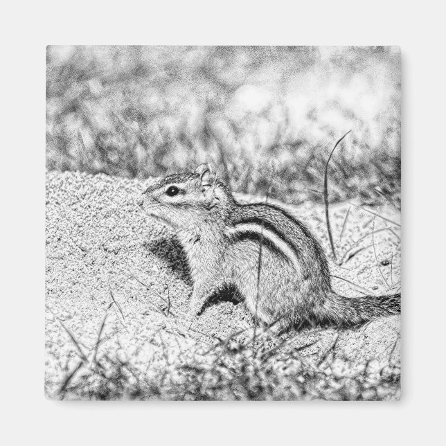 Imán Chipmunk Sketch (Frente)