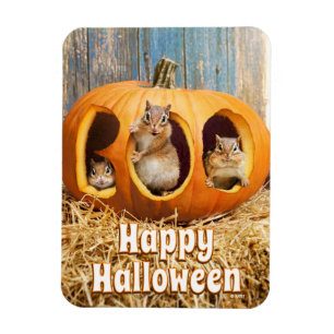 Imán Chipmunks dentro de Boo Jack-o Lantern