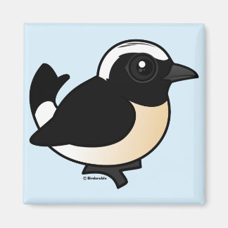 Imán Chipre Wheatear