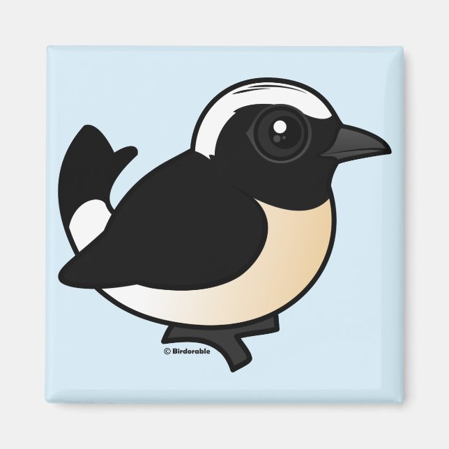 Imán Chipre Wheatear (Frente)