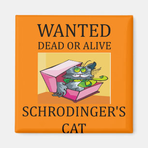 Imán chiste del gato de los schrodinger