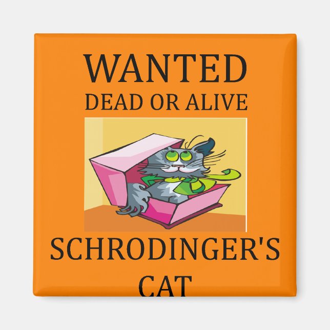 Imán chiste del gato de schrodinger (Frente)