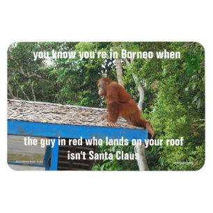 Imán Chistes de Navidades de Animal Santa Claus Borneo 