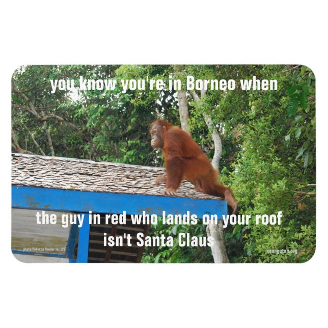 Imán Chistes de Navidades de Animal Santa Claus Borneo  (Horizontal)