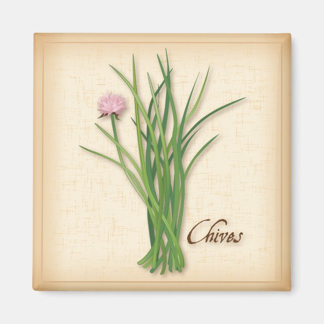 Imán Chives Herb Magnet (Frente)