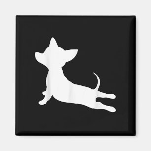 Imán chiweenie yoga ness don, chihuahua dachshund
