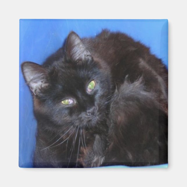 IMÁN CHOCOLATE KITTY (Frente)