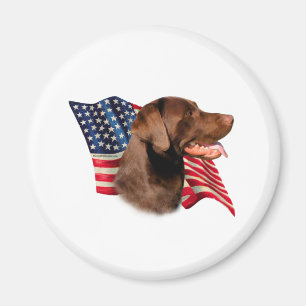Imán Chocolate Labrador recuperar bandera estadounidens