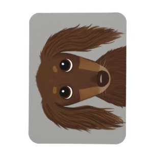 Imán Chocolate marrón lindo de pelo largo