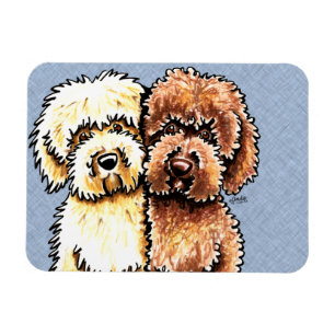 Imán Chocolate poner crema Labradoodles