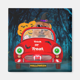 Imán Chow Chow Perro Conductor Coche Asustado Halloween