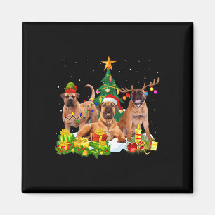 Imán Chris, un reno gorgoso de perro en Santa Inglaterr