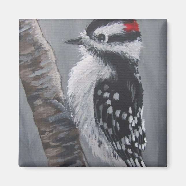 Imán Chubby Downy Woodpecker - Magnet (Frente)