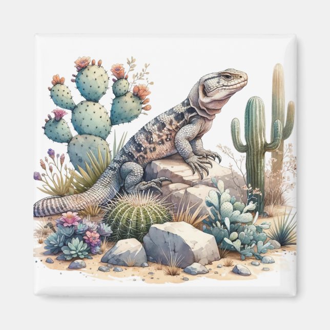 Imán  Chuckwalla Chillin (Frente)