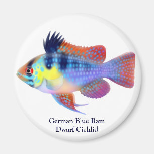 Imán Cichlid de Ram Azul Alemán