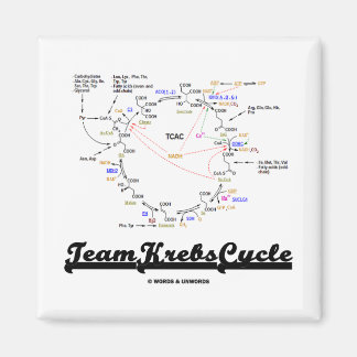 Imán Ciclo de Krebs de equipo (Ciclo de Ácido Cítrico -