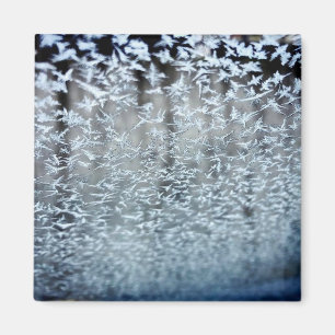 Imán Ciclos de invierno
