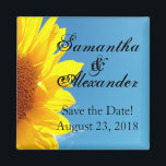 Imán Cielo azul veraniego con girasol amarillo<br><div class="desc">Hermosa imagen escénica del joven girasol amarillo brillante de verano contra el cielo azul con nubes blancas. Perfecto para una temática boda de verano. Invitación de boda y juego de accesorios coincidentes. © 2010 www.CustomInvitesOnline.com Este artículo está disponible como una colección completa de bodas que incluye invitaciones, tarjetas RSVP, Guardar...</div>